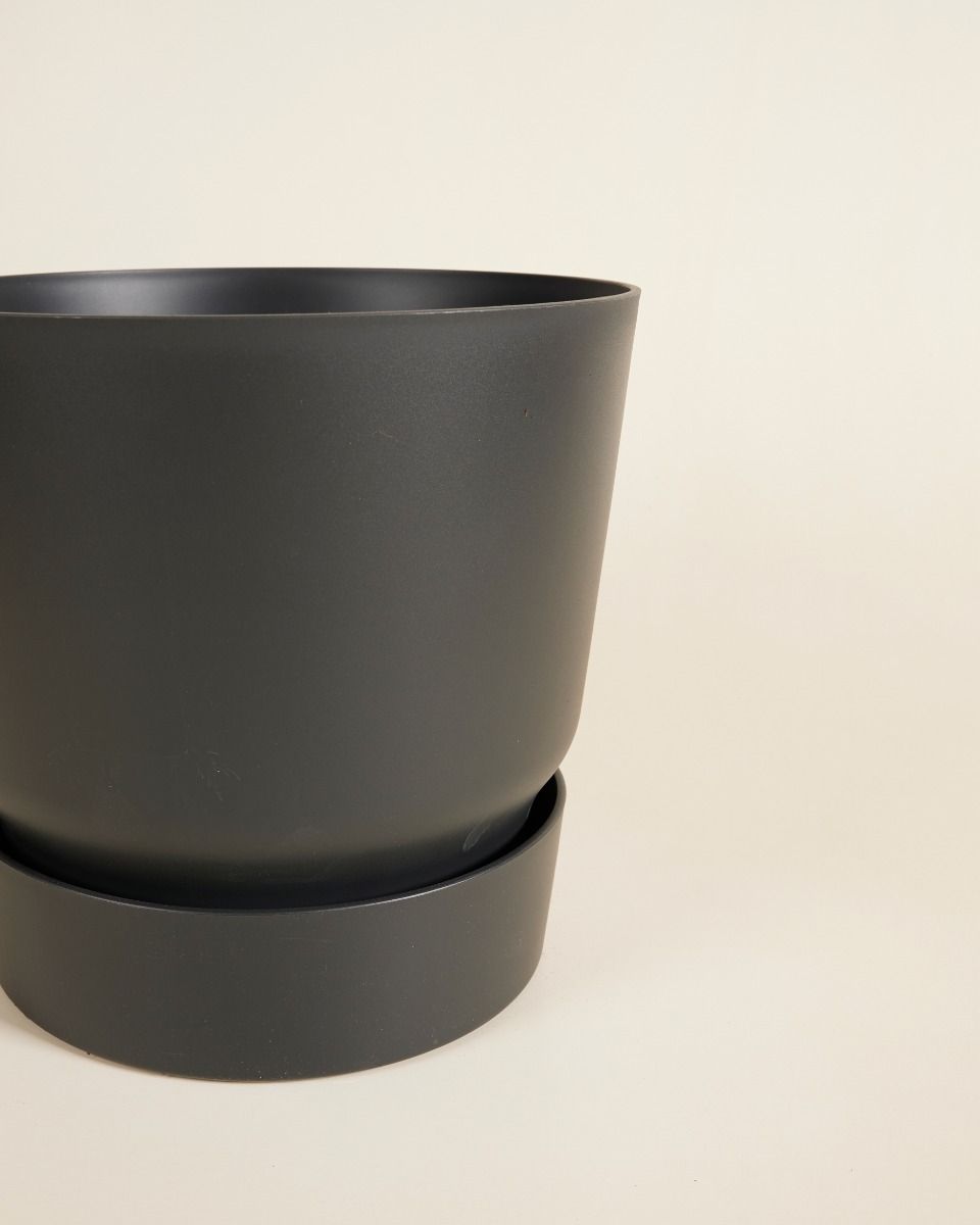 Elho Miles Runder Topf Schwarz 30 cm