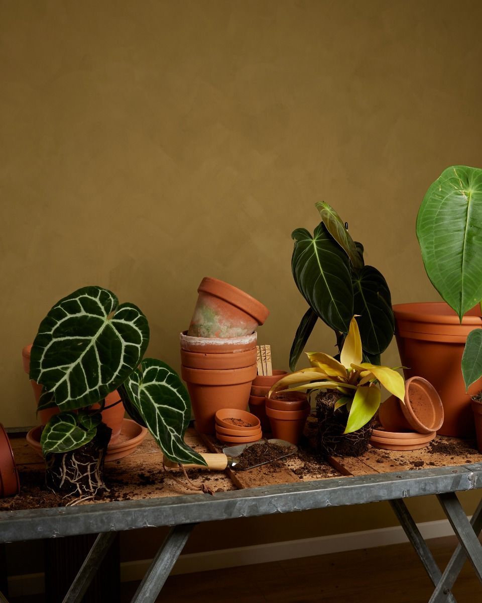 Sustainability box Large Product set