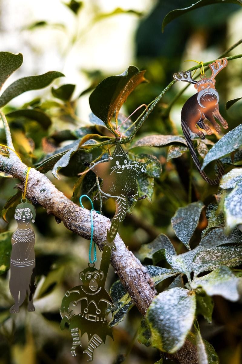 Überraschung Weihnachts plant buddy
