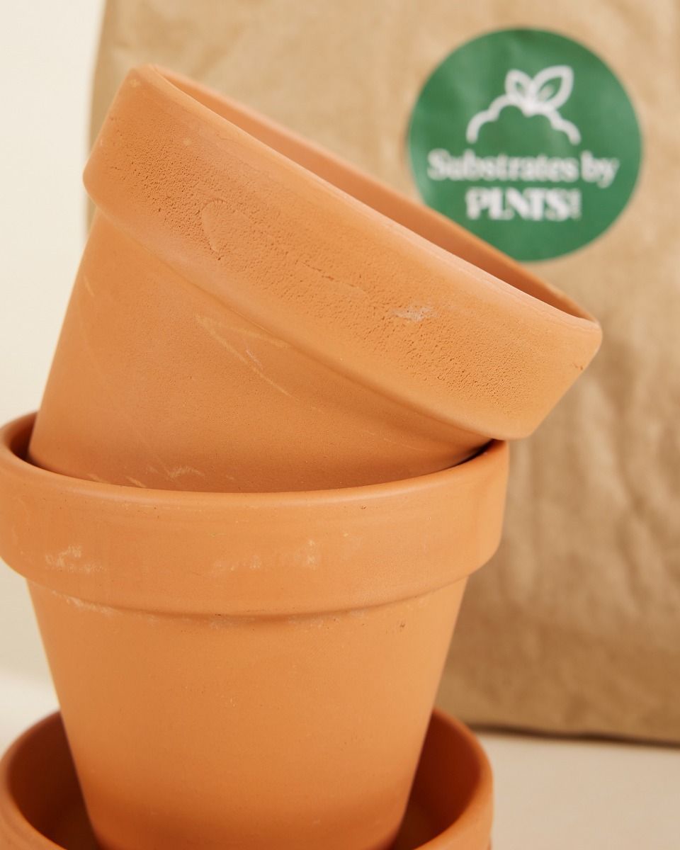 Baby Potting Set 2x Topf 9cm, Boden 3l
