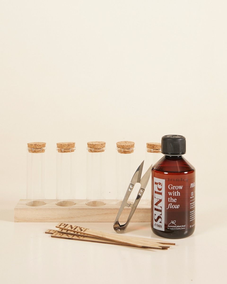 Propagation Geschenkset Productset