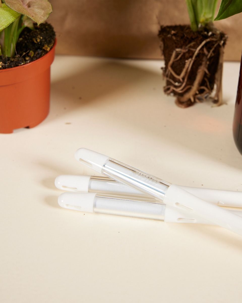Easy Care Set 3 Pflanzen Productset