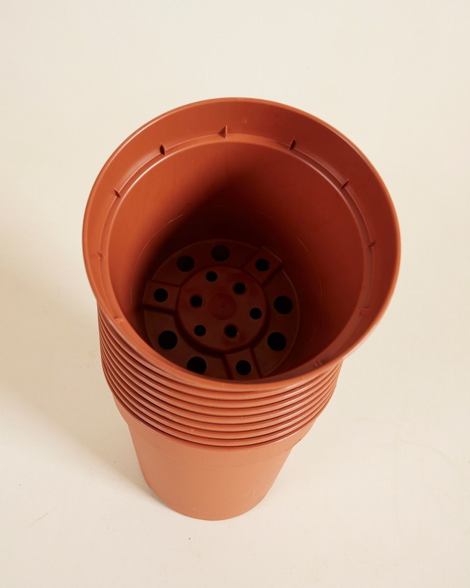 Satz mit 10 Anzuchttöpfe Ø 15 cm Productset