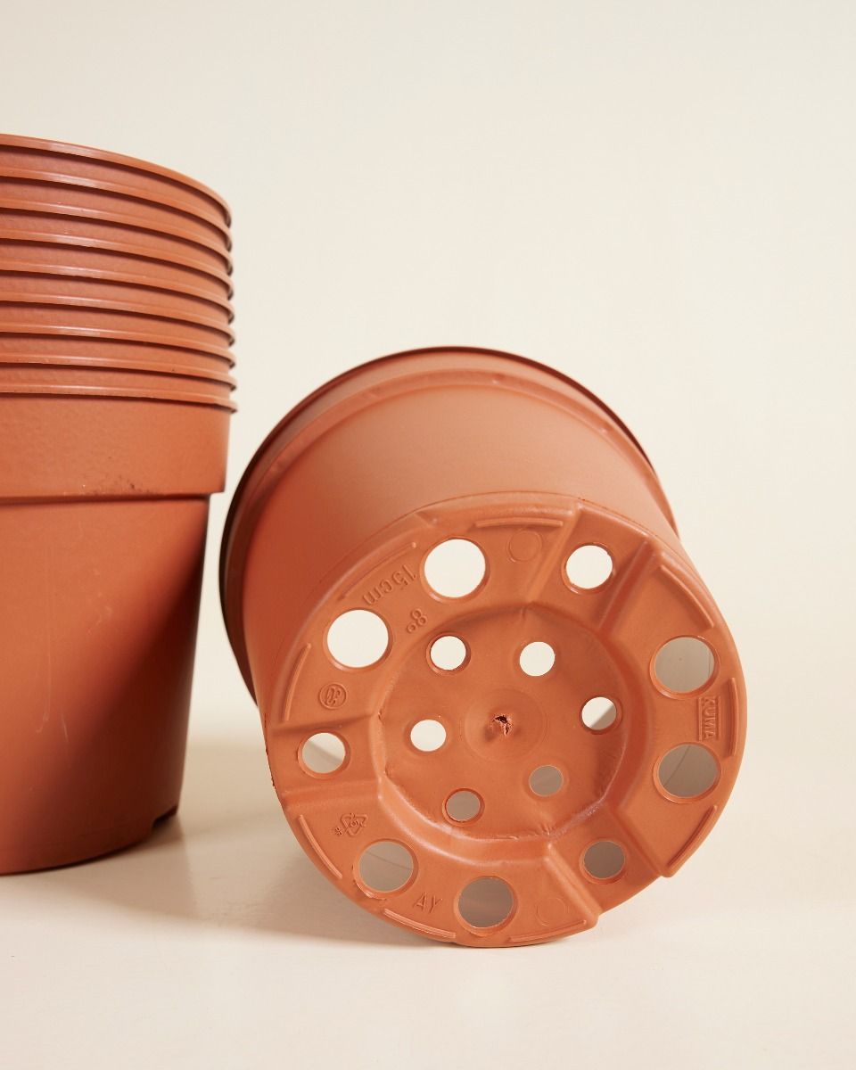 Satz mit 10 Anzuchttöpfe Ø 15 cm Productset
