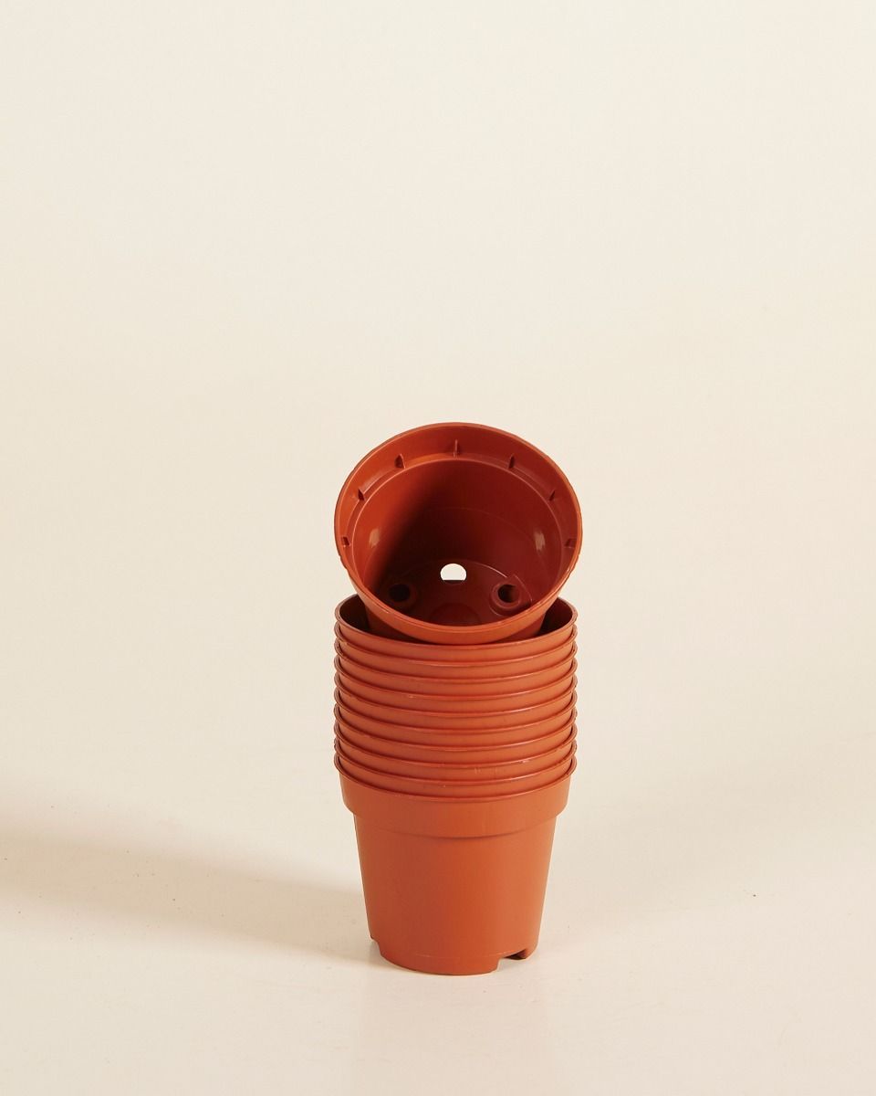 Satz mit 10 Anzuchttöpfe Ø 6 cm Productset