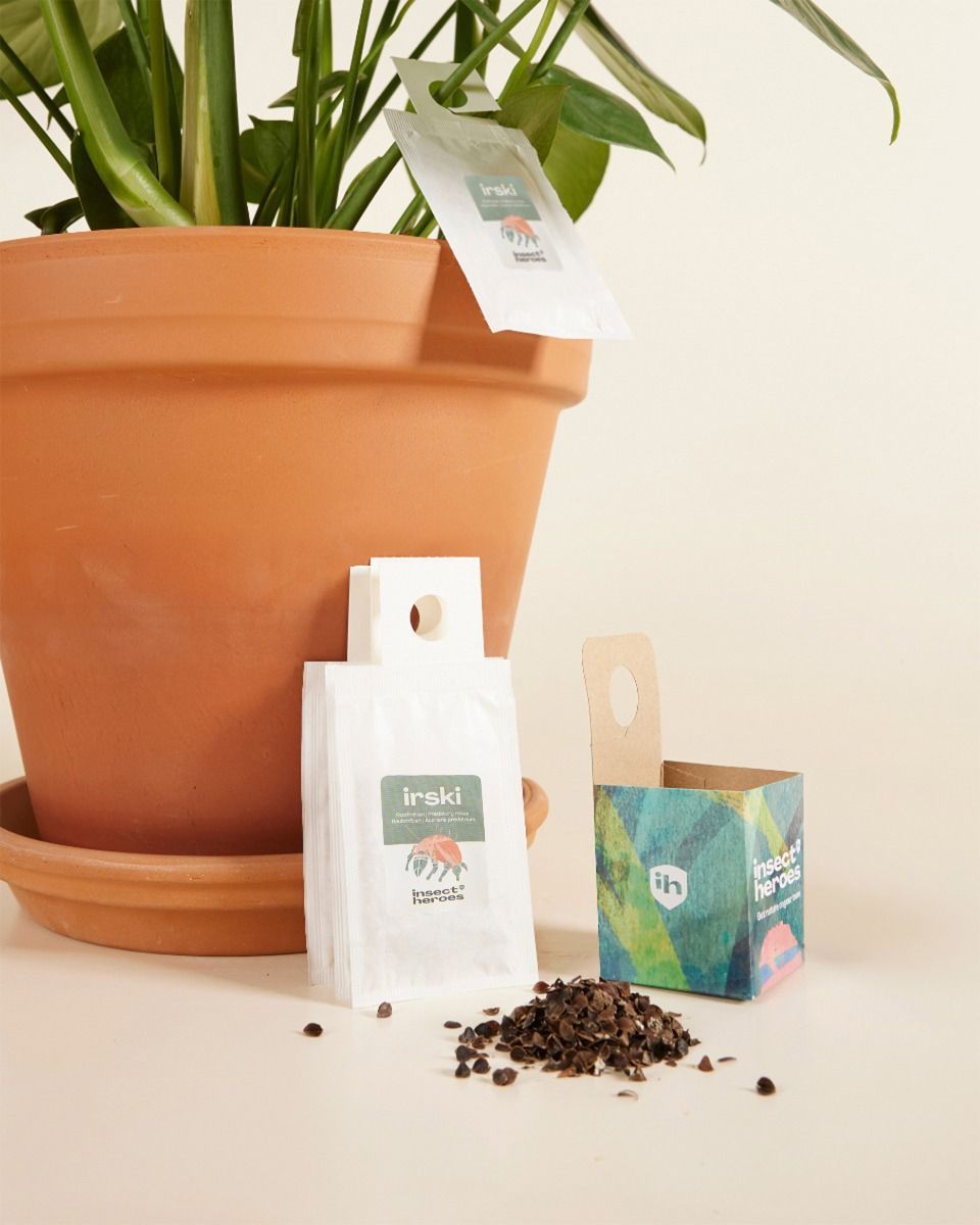 Schädlingsbekämpfungs-Kombiangebot: Thripsen Carna + Irski
