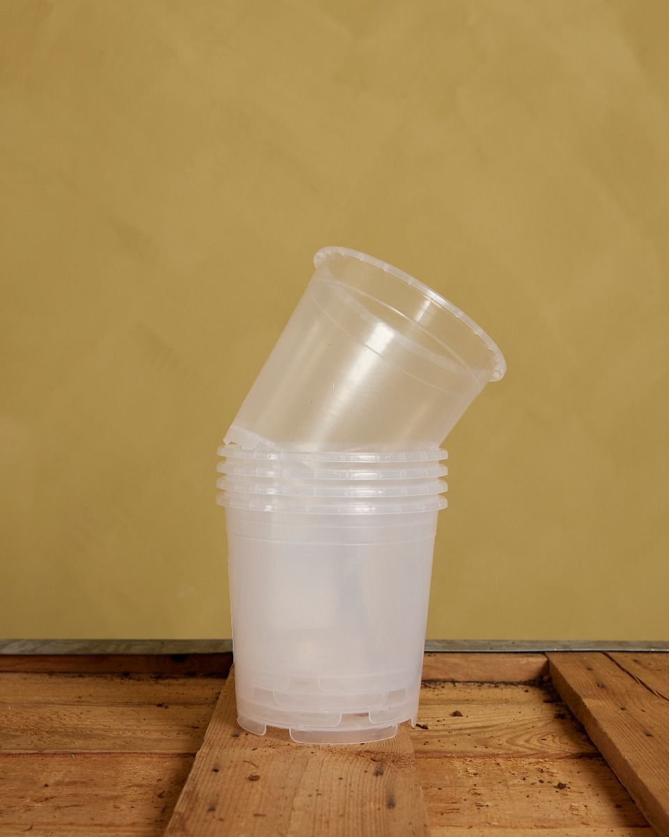 Satz mit 5 Anzuchttöpfe Transparent Ø 12 cm Productset