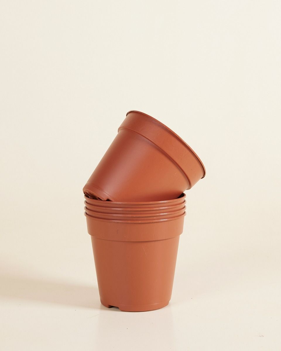 Satz mit 5 Anzuchttöpfe Ø 12 cm Productset