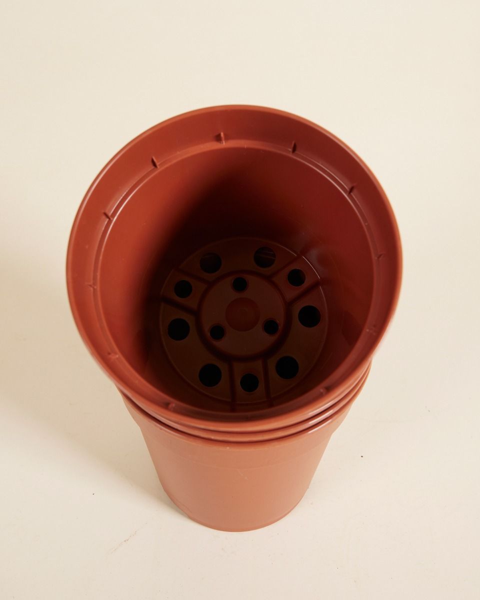 Satz mit 5 Anzuchttöpfe Ø 12 cm Productset