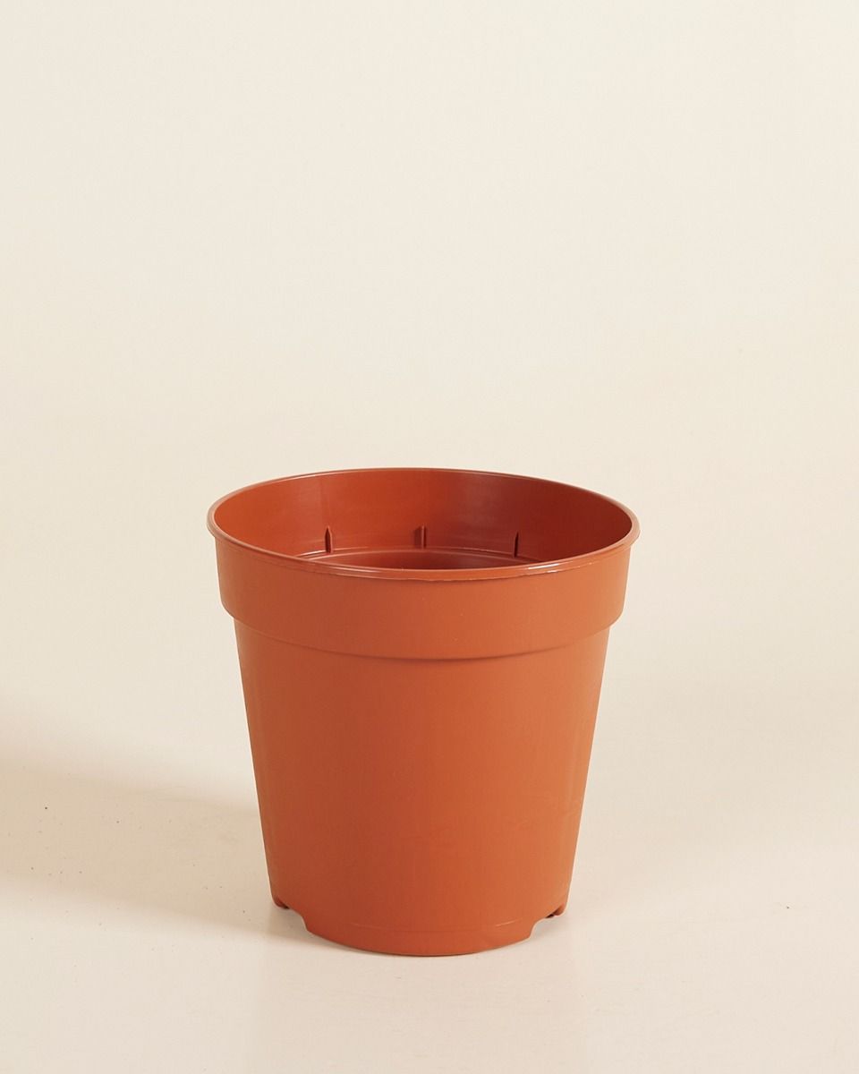 Anzuchttopf Orange Ø 12 cm