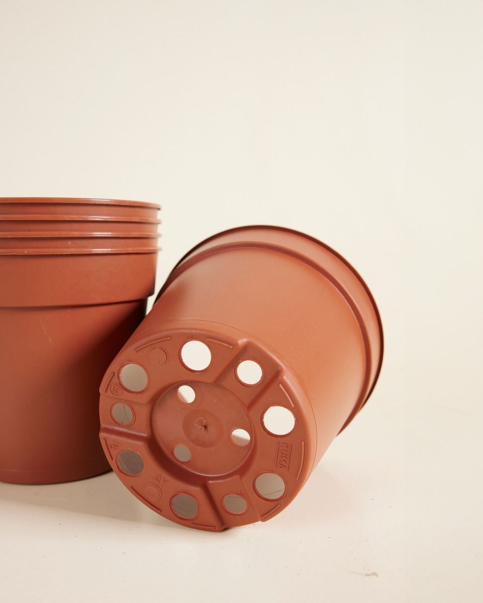 Satz mit 5 Anzuchttöpfe Ø 12 cm Productset