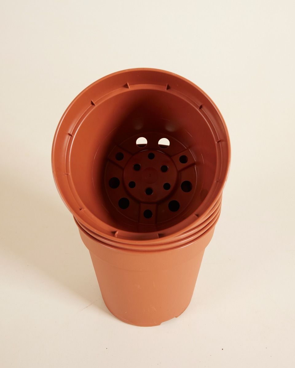 Satz mit 5 Anzuchttöpfe Ø 15 cm Productset