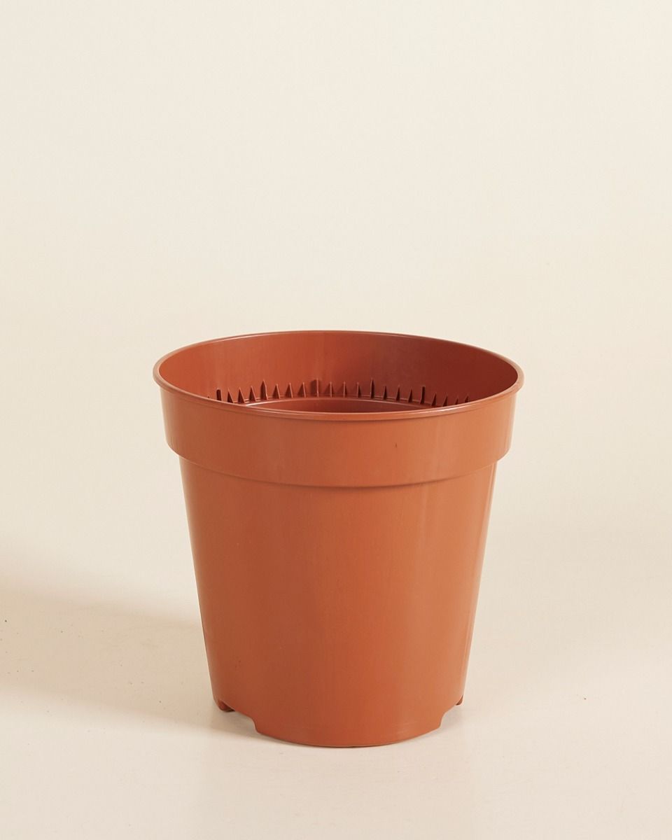 Anzuchttopf Orange Ø 15 cm